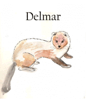 Delmar profile picture