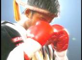 Muay Thai profile picture