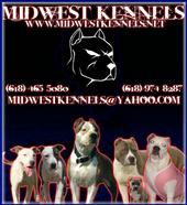 The Official Page of Midwest Kennels profile picture