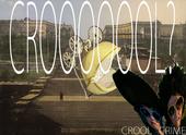 crooL cRIME profile picture