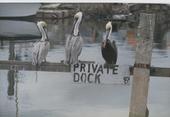 PRIVATEDOCK profile picture