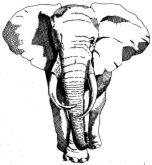 TRUNK profile picture