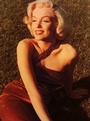 Forever Marilyn profile picture