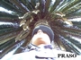 PRASO profile picture