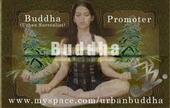 Buddhas Email profile picture