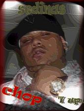 CHOP - new shit vol.2 profile picture