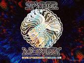 SPYDER MONKEY profile picture