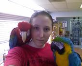 Cassandra Loves The Macaws! profile picture