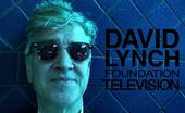 David Lynch Foundation Television profile picture