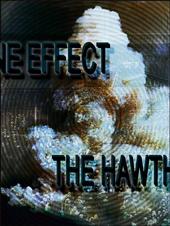 The Hawthorne Effect profile picture