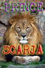 Scarja profile picture