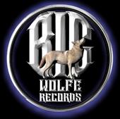 Big Wolfe Records profile picture