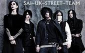 SAI Street Team UK profile picture