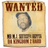 MR SEEDZZ **INTERNATIONAL PAGE** profile picture