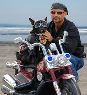 Bandit the Biker Dog profile picture