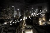 Industrie Muzik profile picture