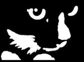 Katze Platten profile picture