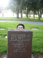 Timmy Tippin' Tombstones profile picture