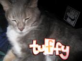 tuffy profile picture