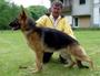 VON DER SAUK GERMAN SHEPHERDS profile picture