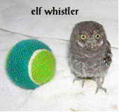 elf whistler profile picture