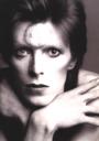 David Bowie profile picture