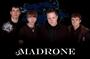 Madrone (New Music Up Now!) profile picture