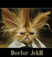 Dr.Jekill profile picture