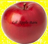 Lil’ Apple Barn profile picture