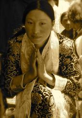 save tibet profile picture