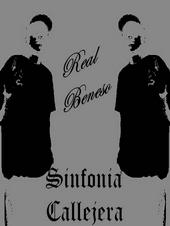 Real Sinfonia Callejera (Los Perros Callejeros) profile picture