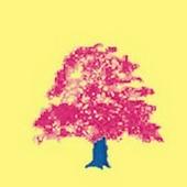 Pink Blue Oak profile picture