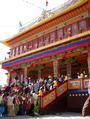 save tibet profile picture