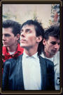 Peter Murphy profile picture