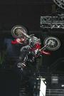 Metal_Mulisha profile picture