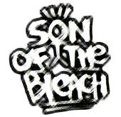 Son of The Bleach profile picture