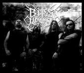 BLISS OF FLESH New album profile picture