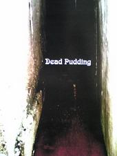 dead pudding profile picture