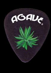 Agave profile picture