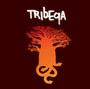 Tribeqa profile picture