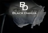 BLACK DAHLIA profile picture