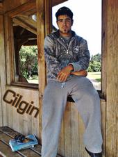 cilgin- profile picture