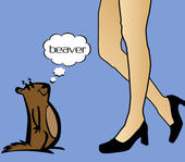 fashionbeaver