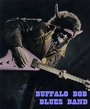 Buffalo Bob and the Bedroom Blues Band profile picture