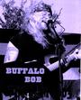 Buffalo Bob and the Bedroom Blues Band profile picture