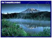 the tranquility project profile picture