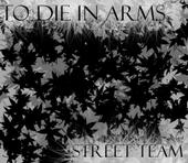 To Die In Arms Street Team profile picture