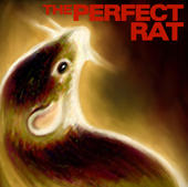 The Perfect Rat profile picture