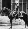 King George V profile picture