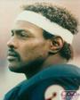 Walter Payton profile picture